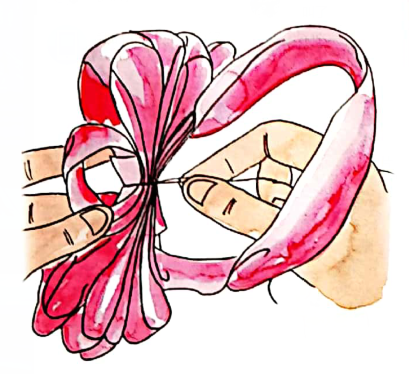 Ribbon 5