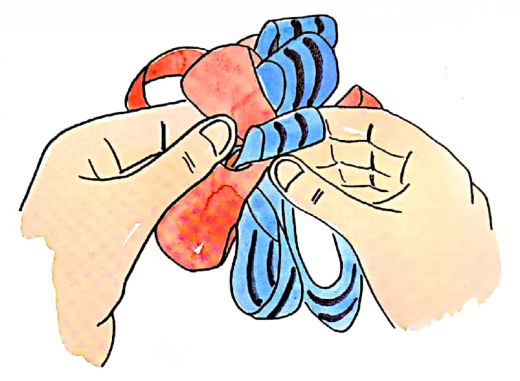 Ribbon6